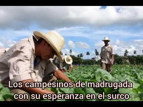 #Gúaimaro #Camagüey 