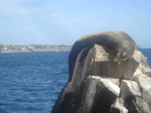 Abraham Hicks - Good Vortex Process