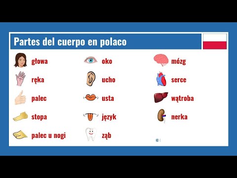 Partes del cuerpo en polaco