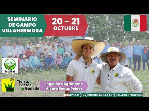 Aprende a producir Pastos de Corte este  20 - 21 de Octubre SEMINARIO DE CAMPO TABASCO MÉXICO
