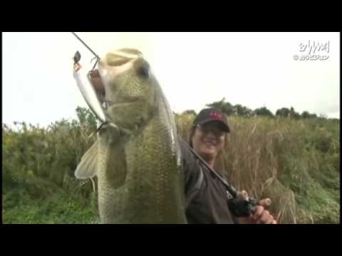 Megabass® X-PLOSE SS - Depesca.com