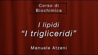 Biochimica (I trigliceridi)