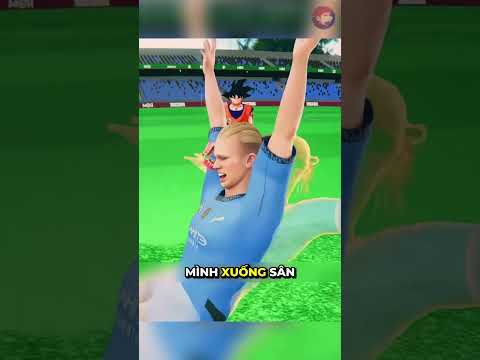 Những đặc quyền của Haaland ở World Cup