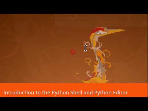 Introduction To The Python Shell And Editor