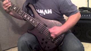 Soilwork - Aardvark Trail (bass cover) Blakhart Guitars