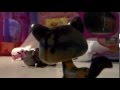 lps secret carrie akre