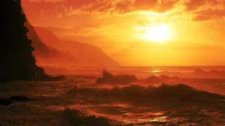 Banyan Tree  Feel The Sun Rise