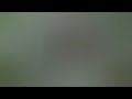 EMMANUEL Vestine Dorcas Official Video