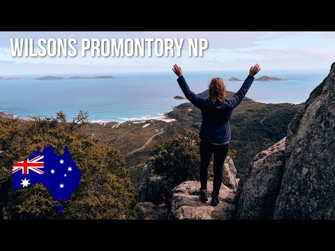 Unser erstes Wombat! - #040 | Wilsons Promontory National Park