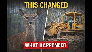 This Trail Cam Captured More Than Just Deer…