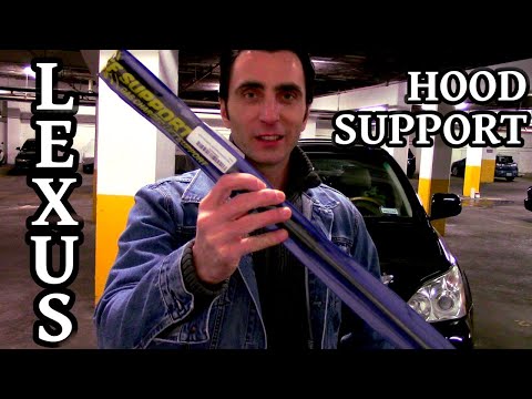 Lexus Hood Support Replacement
