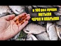 НА ЭТО КЛЮЁТ ЛУЧШЕ ЧЕМ НА МОТЫЛЯ ЧЕРВЯ И ОПАРЫША! СУПЕР РЫБОЛОВНАЯ НАСАДКА!