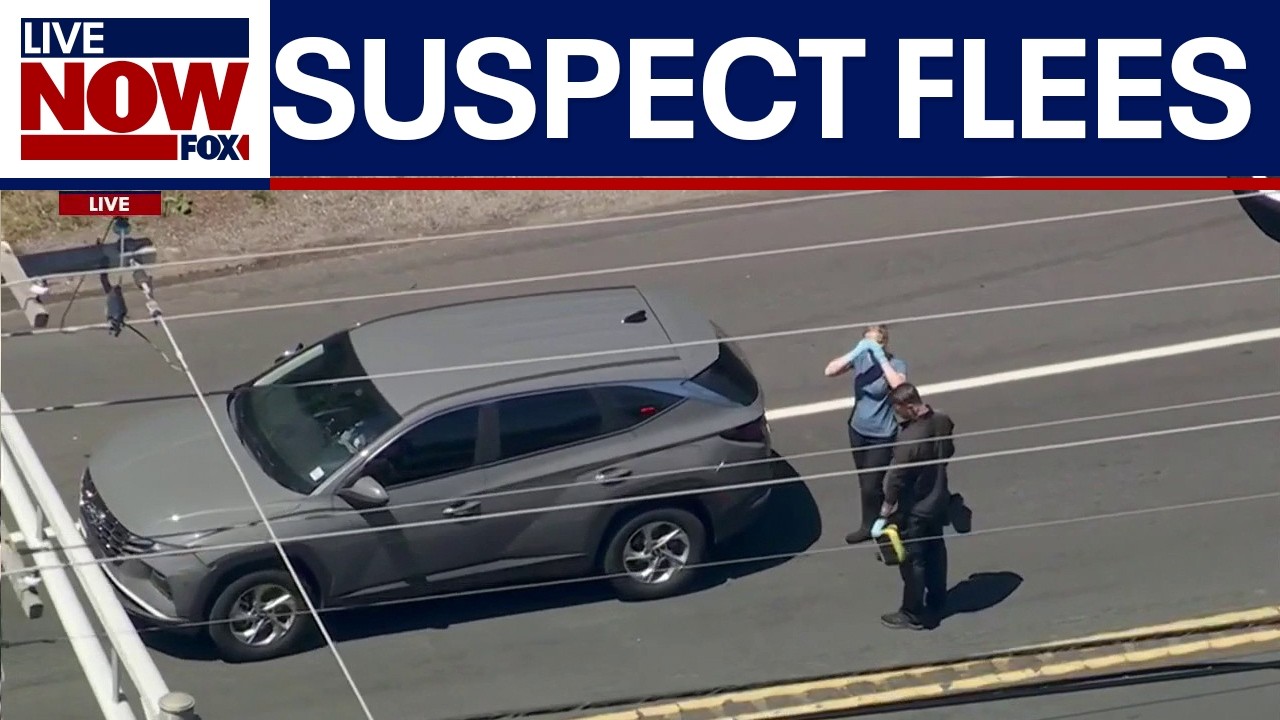 ICE agent fires shots after being struck by vehicle