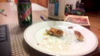 Is It Spaghetti Humans Please Tell Me