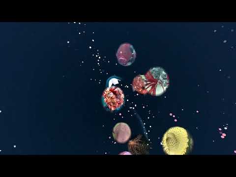 Видео FathomVerse #1