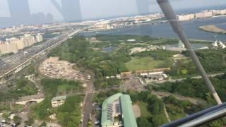 Diamond and Flower Ferris Wheel