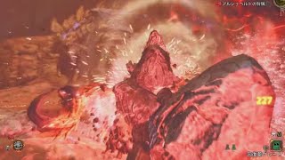 とある日の野良マルチ。狩猟笛にも相殺反撃がほしいなと思う今日この頃。【MHWilds】【モンハンワイルズ】【狩猟笛】