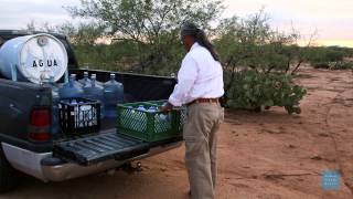 TORN APART: Mike Wilson
