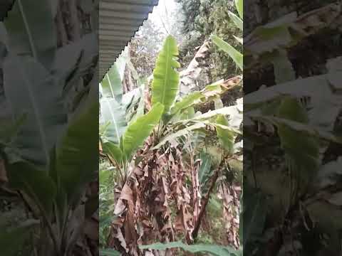 guayatá boyacá valle de tenza j2