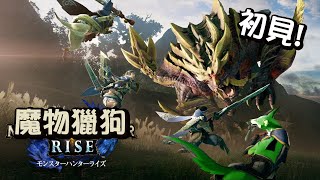 [Vtub] [古琳]魔物獵人：崛起_會變捏角色耐久嗎