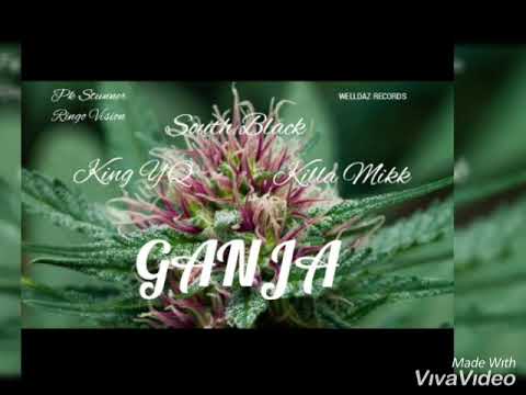 South Black, King YQ, Killa Mikk - GANJA ( Official Audio )