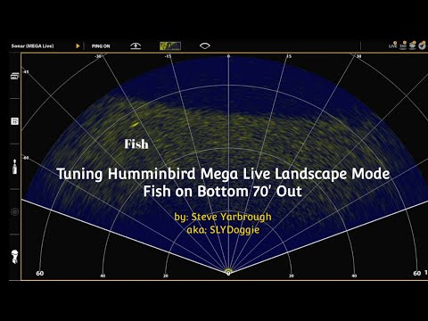 Tuning Humminbird Mega Live Landscape Mode - Fish on Bottom 70 Feet Out