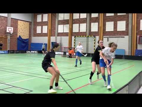 Highlights Pantamera Flickor C F08 Häljarps SK - F07-08 Åstorp /Kvidinge IBS 4-4