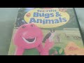 Barney Tee Rific Bugs DVD Overview