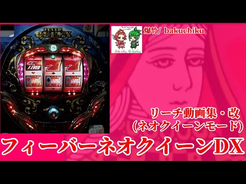 フィーバーネオクィーンの動画