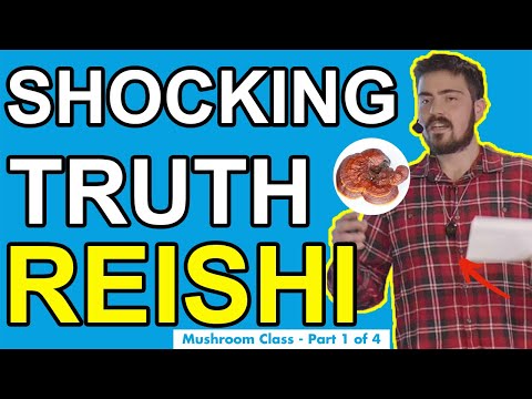 Reishi Mushroom Benefits - What You Need To Know (Medicinal Mushroom Class Part 1 of 4)