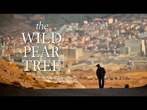 The Wild Pear Tree Movie Trailer