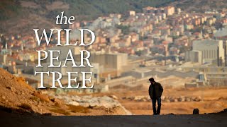 The Wild Pear Tree (2018) Video