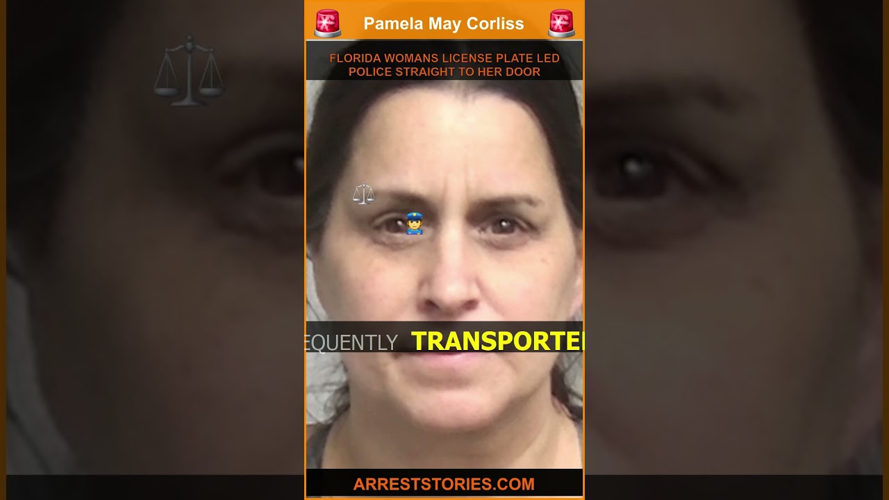 FLORIDA WOMANS LICENSE PLATE LED POLICE STRAIGHT TO HER DOOR