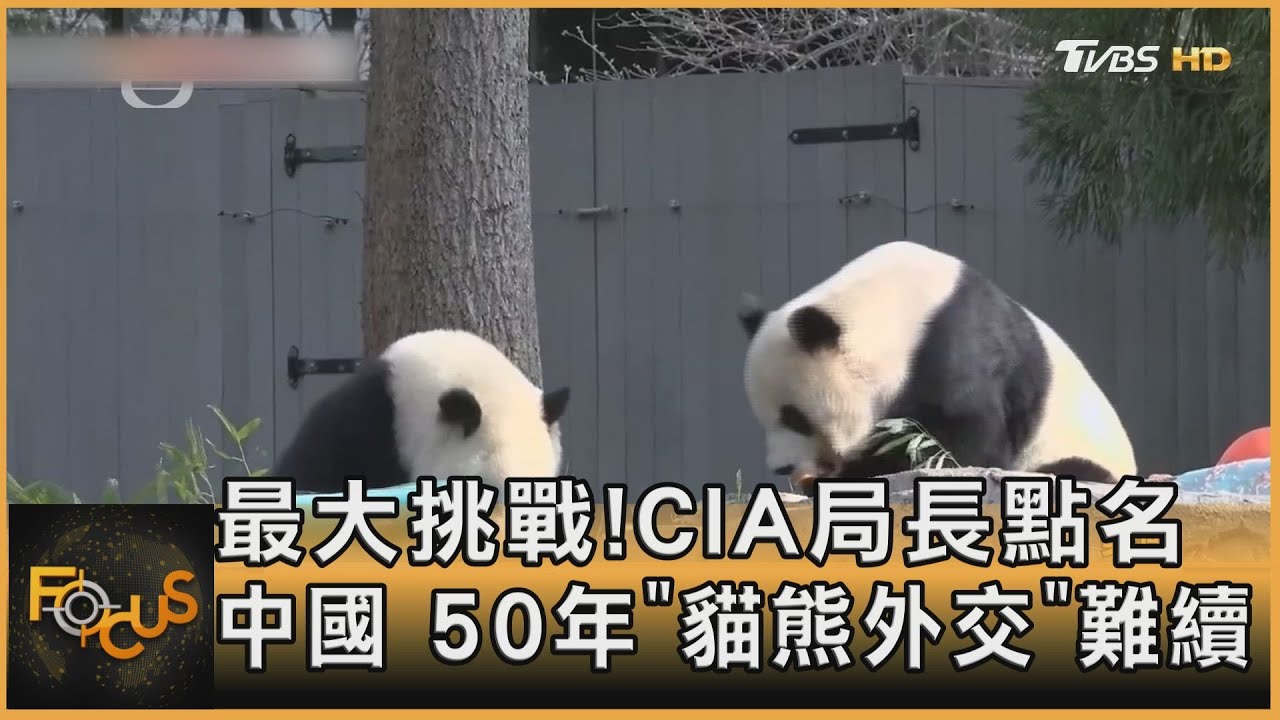 最大挑戰!CIA局長點名中國 50年「貓熊外交」難續