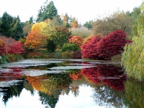 Einojuhani Rautavaara, Autumn Gardens (complete) 1999