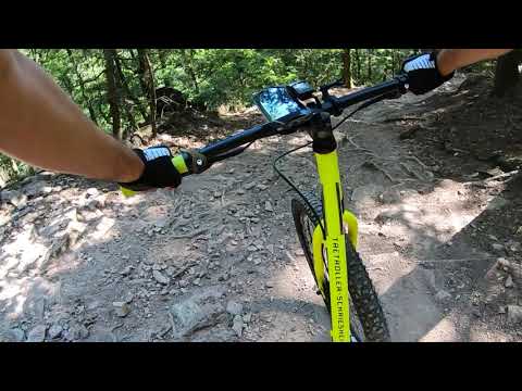 Downhill mit Kostka Mushing Racer Max #1
