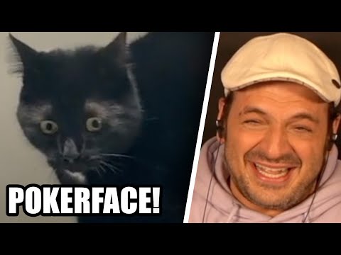 My longest laughing fit!