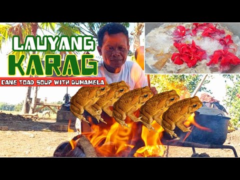 Ep.8,2024 || LAUYANG KARAG na may Gumamela || Cane Toad Soup  with Gumamela Flowers