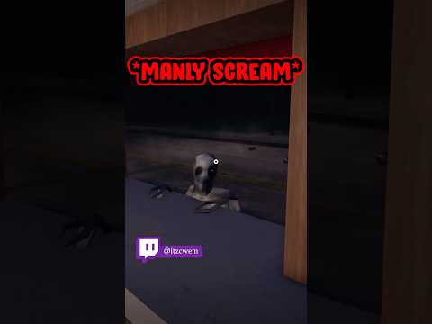 Road-Side Shawarma is a different game 🙏🙏