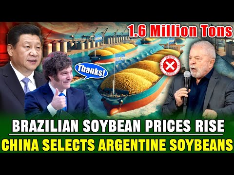 China JUST Terminated All Soybean Orders with BRAZIL and Redirected 1.3 Million Tons to ARGENTINA!