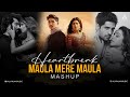 Heartbreak Mashup Maula Mere Maula X Tujhe Bhula Diya Bollywood Heartbreak Chillout Mashup 2025