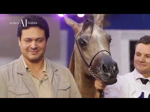 EGYPT INTERNATIONAL SHOW | EL ZAHRAA | EP 02