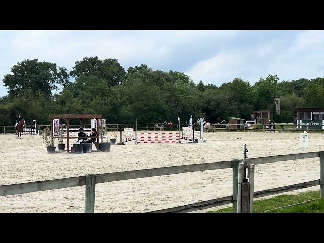 Ponette D 5 ans pour concours CSO et/ou Pony games 