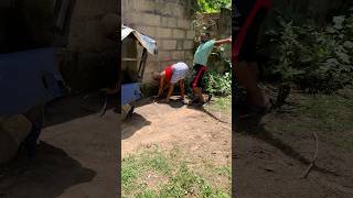 Download lagu #reggae #music #nostalgia #contentcreator #amapianotv #dance #funny #creativecontentcreator #love mp3 Download lagu #reggae #music #nostalgia #contentcreator #amapianotv #dance #funny #creativecontentcreator #love mp3