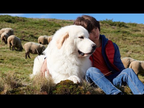 Bella a Sebastián: Nová generácia | SK SPOT HD | 2.3.