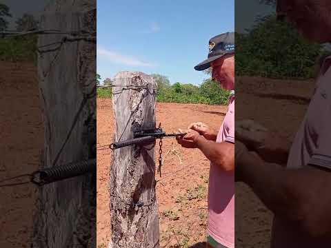 a engenharia do zeze da pareira, urucuia mg