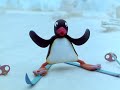 Pingu S03e01 Pingu Goes Cross Country Skiing Dvdrip Xvid