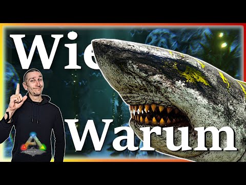 ARK Taming Guide | Megalodon zähmen & seine Fähigkeiten mit Humor