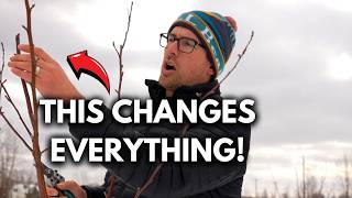 Learn These 4 Methods to MASTER Pruning Fruit Trees