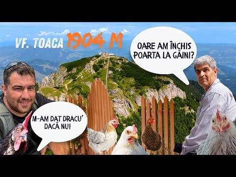 Drumeție în Ceahlău: Poiana Stănile - Vârful Toaca | Traseu Scurt și Ușor pentru Familie (1:30-2h)